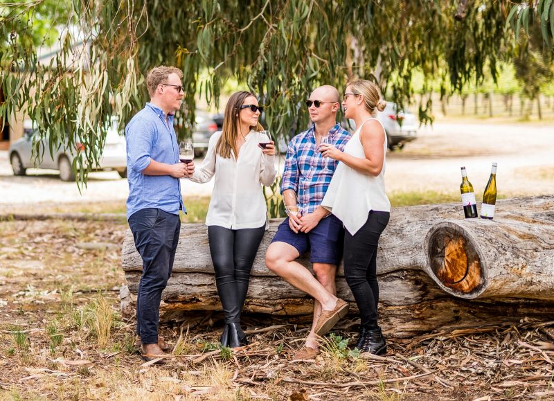 Young people under gum tree near Penna Lane Cellar Door